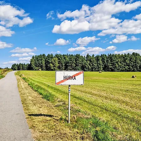 Zelnava By Interhome Apartment Horni Plana