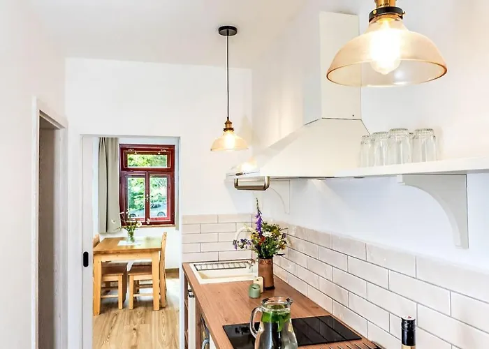 Zelnava By Interhome 公寓 Horní Planá